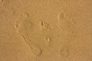 Barefoot natural running